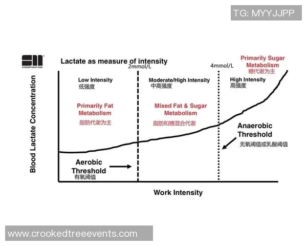 运动员心率变化对训练效果与运动表现的影响分析