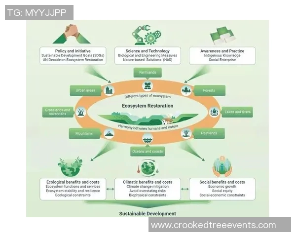 生态文明建设推动可持续发展探索与实践的新时代路径 生态文明建设推动可持续发展探索与实践的新时代路径