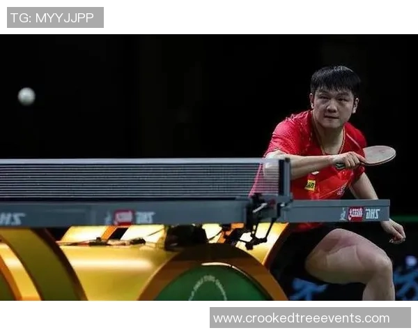 专访乒乓球明星李丽揭秘她成功背后的奋斗与坚持