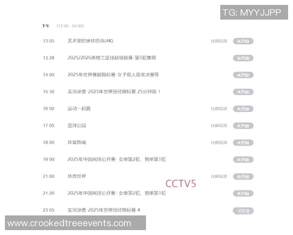 北京排球队实力分析大满贯赛事中的表现与未来展望