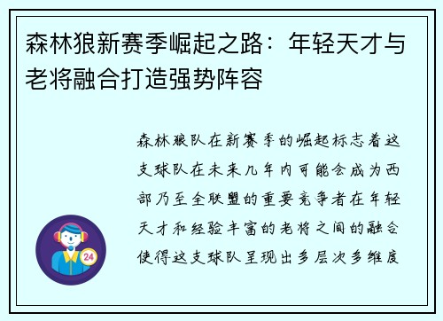 森林狼新赛季崛起之路：年轻天才与老将融合打造强势阵容