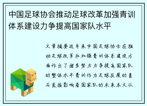 中国足球协会推动足球改革加强青训体系建设力争提高国家队水平
